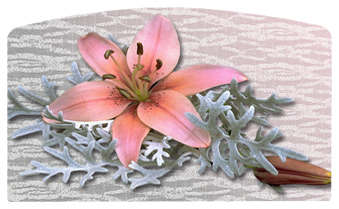 DACRO-023 Pink Lily